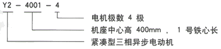 YR系列(H355-1000)高压YJTG-355M4-6A/200KW三相异步电机西安西玛电机型号说明